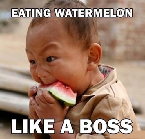 Like a boss