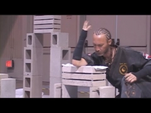 Man vs Bricks Fail 