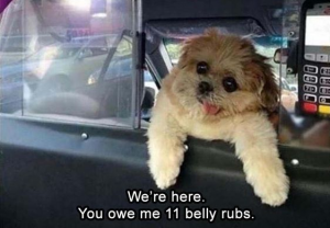 Give him the rubs, before he calls the police.