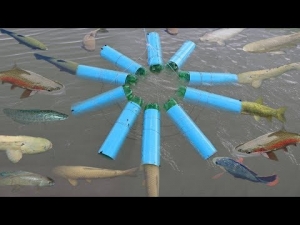 Wow!! Smart Girl Make Fish Trap Using A Lot of PVC Pipe To Catch Fish 