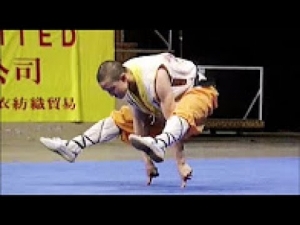 Amazing People Skill Compilation - Best Martial Arts Edition 2017