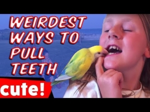 The Weirdest Ways To Pull Teeth | Best Fail Compilation