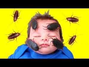 Bad Silicone Baby Cockroach Attack! 